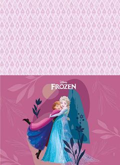 CADERNO 01X1 ESPIRAL 80 FOLHAS CAPA DURA FROZEN 25 JANDAIA