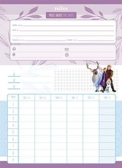 CADERNO 01X1 ESPIRAL 80 FOLHAS CAPA DURA FROZEN 24 JANDAIA