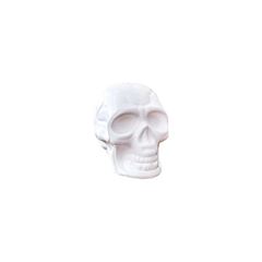 BRINQUEDO KIT HALLOWEEN COM 6 MINI CRANIO BRANCO