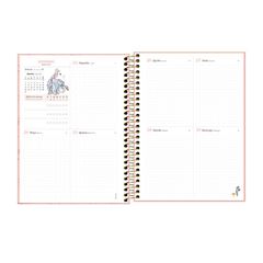 AGENDA PLANNER ANUAL TILIBRA POOH CAPA DURA ESPIRAL 2025 ESPIRAL SORTIDA