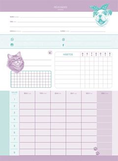 CADERNO 01X1 ESPIRAL 80 FOLHAS CAPA DURA PET HOLIC 24 JANDAIA