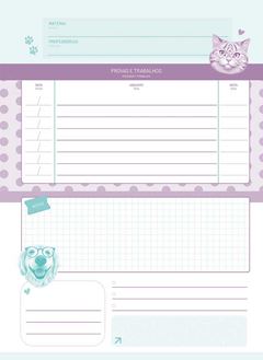 CADERNO 01X1 ESPIRAL 80 FOLHAS CAPA DURA PET HOLIC 24 JANDAIA