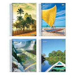 CADERNO 1/4 ESPIRAL 200 FOLHAS CAPA DURA BRASILIDADE JANDAIA