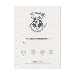 CADERNO INTELIGENTE 01X1 80 FOLHAS HARRY POTTER 24 JANDAIA