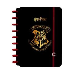 CADERNO INTELIGENTE 01X1 80 FOLHAS 172X231 HARRY POTTER 24 JANDAIA